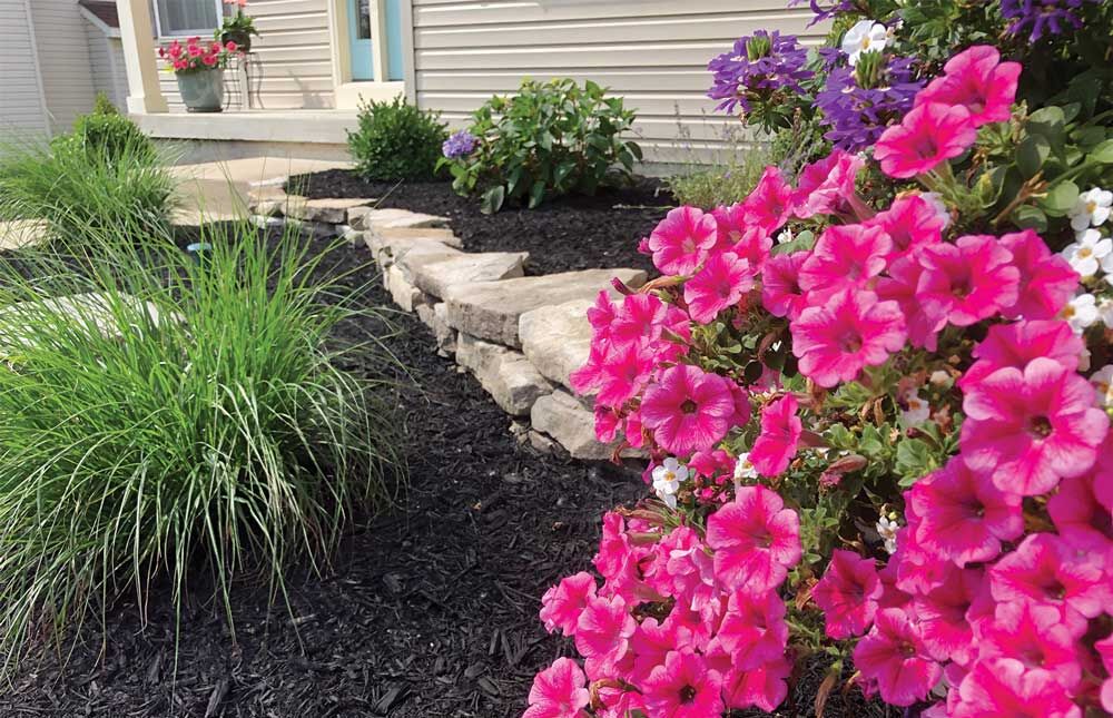 Landscaping in 2020
